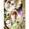 tableau deco harry potter