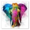 Tableau Elephant Pop Art peinture