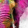 Tableau Elephant Pop Art peinture