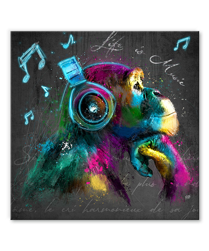 Tableau deco Singe casque musique Pop Art Multicolor