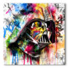 Tableau déco portrait Dark Vador Aquarelle Street-art star wars