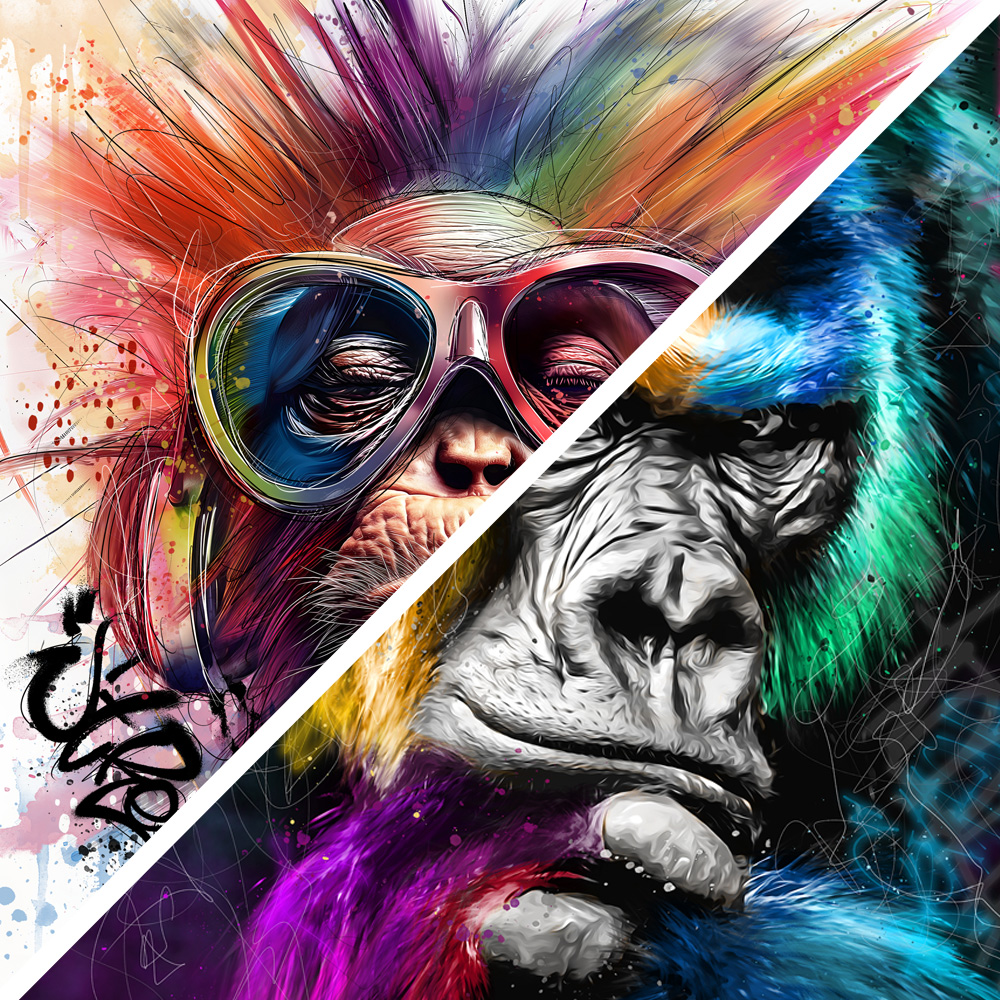 Tableau deco collection Singe et gorille